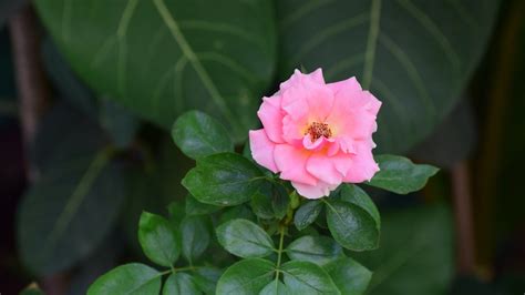 Hobbies & Creativity: