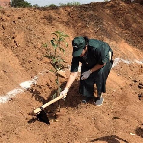 "Green Bonds: BASF/V5 Events Fosters Employee Unity Through Urban Tree ...