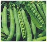 Peas (Lahar-Qcs-10) buy in Hyderabad M.Corp