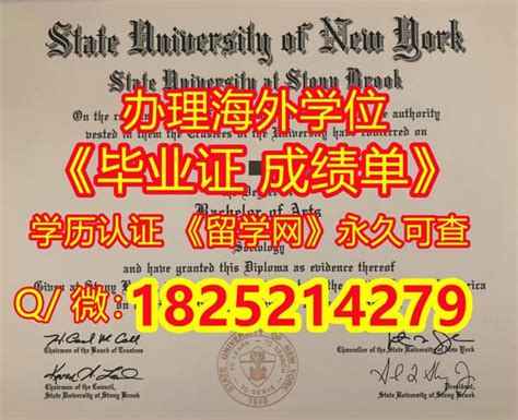 购买《纽约州立大学-石溪分校本科毕业证书学历认证》 | PPT
