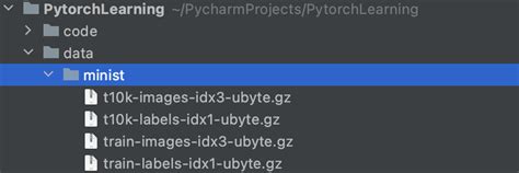 Pytorch Dataset 的图像结果