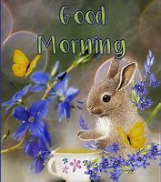 Image result for Good Morning Rabbit Quotes and Images