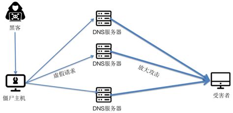 《DNS攻击防范科普系列1》—你的DNS服务器真的安全么？ - 大涛学弟的个人空间 - OSCHINA - 中文开源技术交流社区