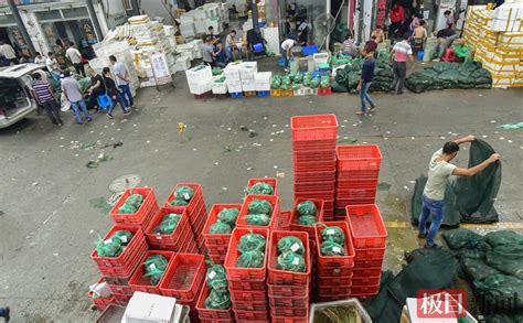 汉川与武汉螃蟹率先出水上市，价格比去年国庆黄金周前稳中趋降-武汉市农业农村局
