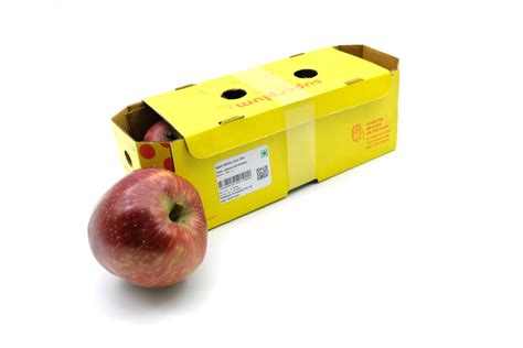 Indian Apples: 3 pcs (Delhi/NCR) — Snapping Turtles Pvt Ltd