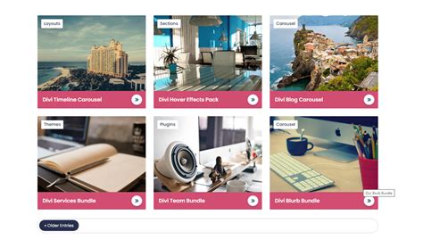 Image result for Divi Portfolio Module