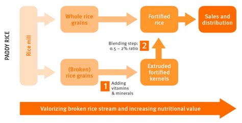 FORTIFIED RICE