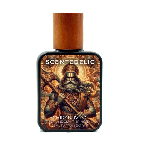 CHIRANJIVI 3.0 (PARSHURAM THE NOIR 29)