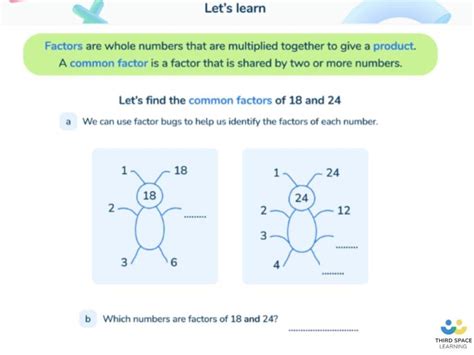 Greatest Common Factor Examples 的图像结果