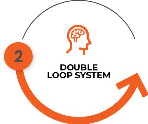 Image result for Double Loop Theory Application