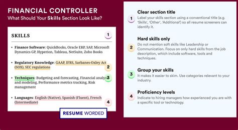 Image result for Controller Resume Examples