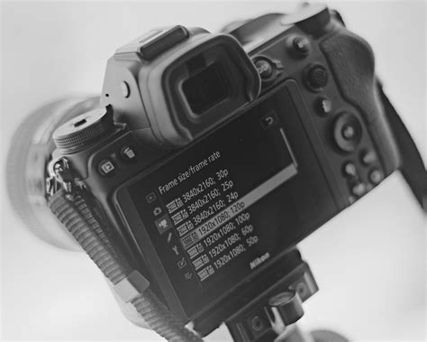 Frame Rate 的图像结果