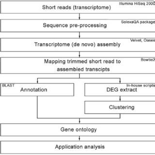 Image result for Transcriptomic Analysis