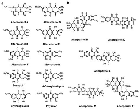 Recent Advances in Alternaria Phytotoxins: A Review of Their Occurrence ...