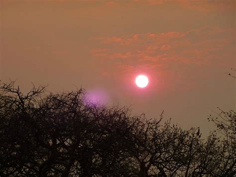 MATUNDA (Outjo) - Ranch Reviews & Photos - Tripadvisor