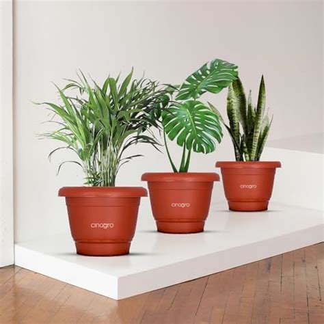 TrustBasket UV Treated Plastic Round Pot(6 Inches)-Set of 6 | Heavy ...