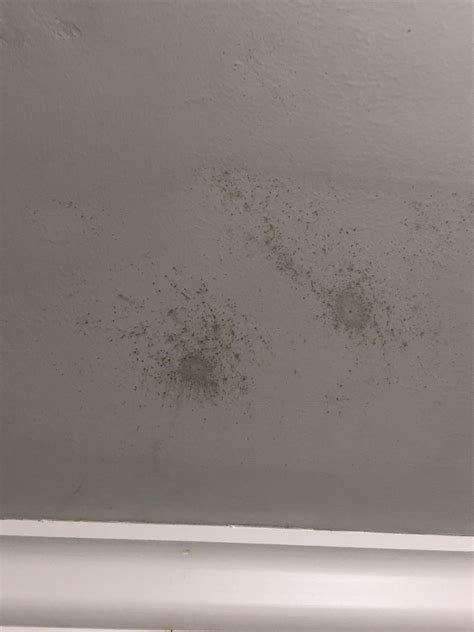 Appeared on bathroom ceiling and walls. My husband thinks it might be ...
