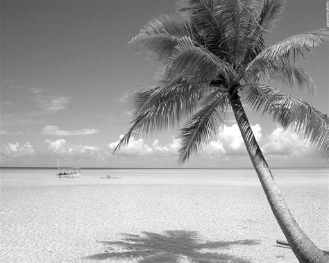 beach pictures black and white