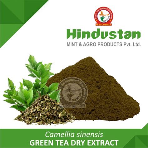Green Tea Dry Manufacturer Exporter India USA CAS 84650-60-2