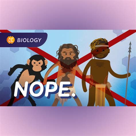 Crash Course Evolution 的图像结果