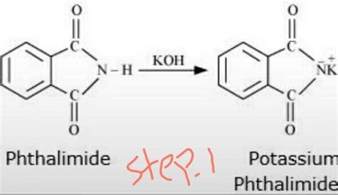Why gabriel phthalimide reaction is preferred for primary amine ...