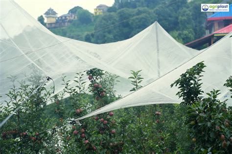 Anti-Hail Net for Crops | Types, Installation & Subsidy Guide 2025 ...