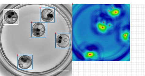 Image result for Template Matching Algorithm Python