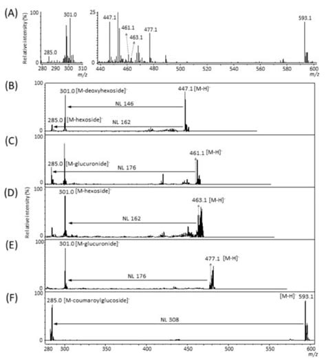 Mass Spectrometry Imaging of Flavonols and Ellagic Acid Glycosides in ...