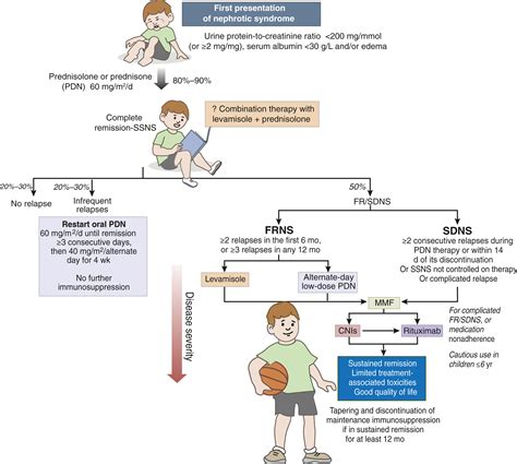Levamisole in childhood idiopathic nephrotic syndrome: new promises ...