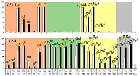 A Neoglycoprotein-Immobilized Fluorescent Magnetic Bead Suspension ...