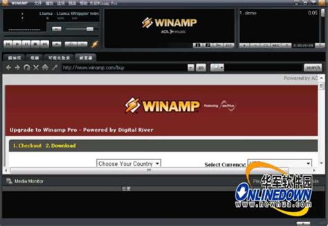 Winamp播放器官方下载_Winamp5 Standard简体中文版下载-华军软件园