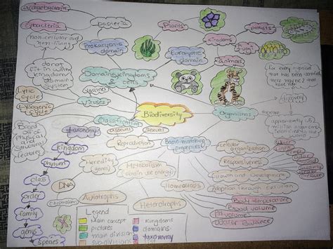 Concept Map Biology 的图像结果