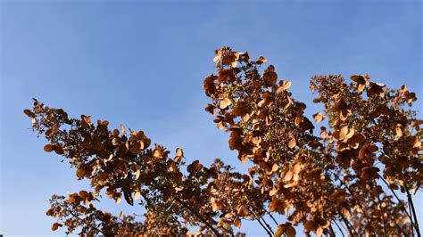 Weekend weather: Pleasant, with mild temps | MPR News