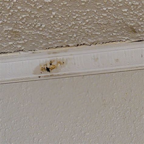 QUALITY INN & SUITES MILLVILLE - VINELAND - Prices & Hotel Reviews (NJ)