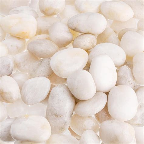 Amazon.com: Dicunoy 6LB White River Rocks, 1-2 Inch Natural Polished ...