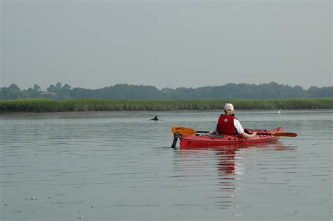 Bulls Island Ferry- Explore a National Wildlife Refuge! | Coastal ...