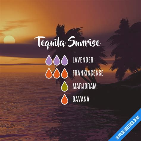 Image result for Cheap Diffuser Tequila