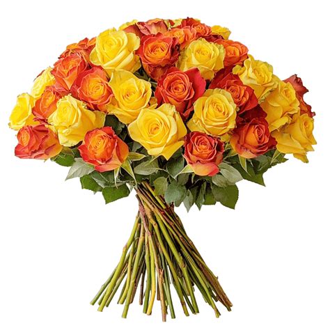 Orange And Yellow Roses
