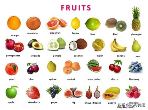 幼儿英语水果单词大全，英语水果单词100个 - 每日头条