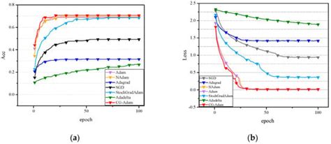 An Improved Adam’s Algorithm for Stomach Image Classification