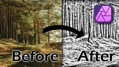 Image result for Gradient Fill in Affinity Publisher