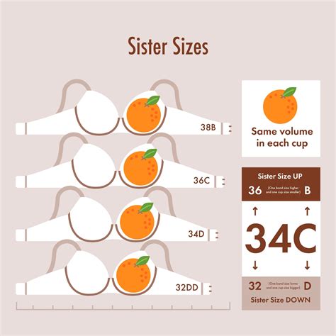Bra Sister Sizes Explained: What are Sister Sizes? – Floatley