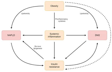 Type 2 Diabetes Mellitus, Non-Alcoholic Fatty Liver Disease, and ...