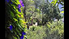 giardini mortella ischia giardini la mortella botanischer garten ischia italy giardini mortella ischia giardini la mortella botanischer garten ischia italy