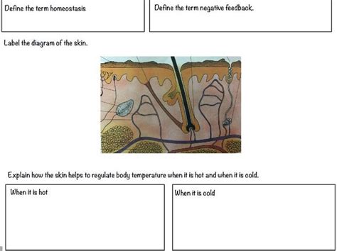 Homeostasis Free Science Lessons 的图像结果