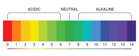 PH Scale Explained 的图像结果