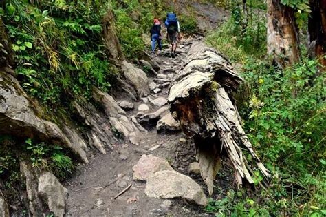 15 Treks Near Kasol: Tread The Best Of Himalayan Trails In 2026!