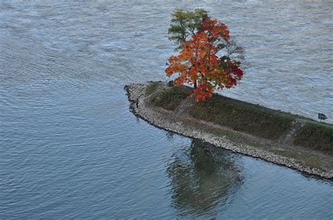 Die Wacht am Rhein ... Foto & Bild | urlaub, wasser, hafen Bilder auf ...