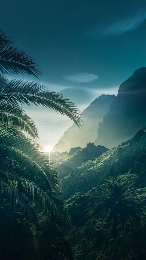 Computer Science Phone Wallpaper 的图像结果