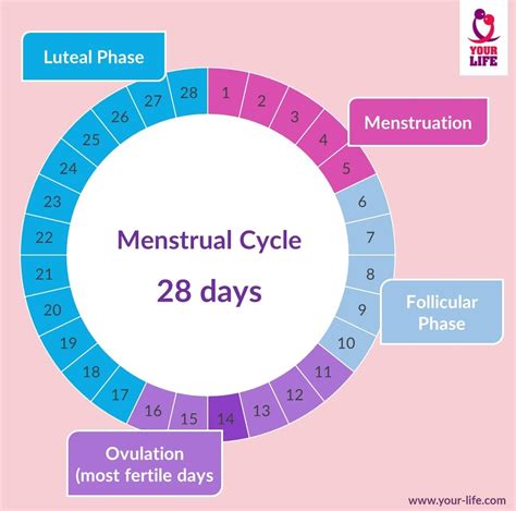 Calendar Method Of Contraception - prntbl.concejomunicipaldechinu.gov.co